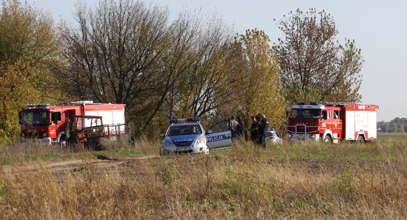 Nietypowa interwencja strażaków pod Łowiczem. Zostali wezwani do rogatego uciekiniera