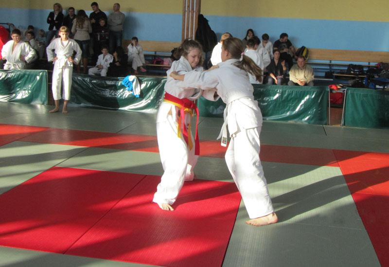 Międzywojewódzki Turniej Gwiazdkowy Dzieci w Judo