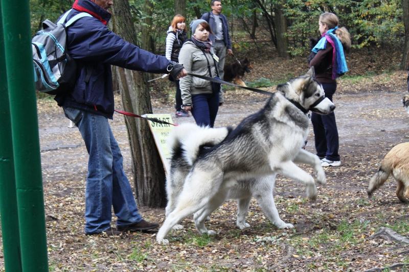I Jesienny Maraton z Psem - FOTO
