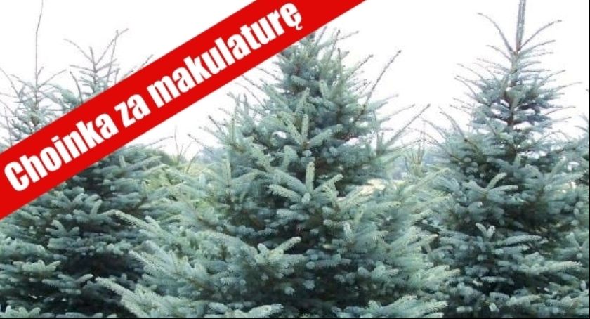Przynieś makulaturę odbierz choinkę