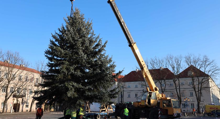Choinka ustawiona, prawie gotowa na miejską imprezę (FOTO i VIDEO)
