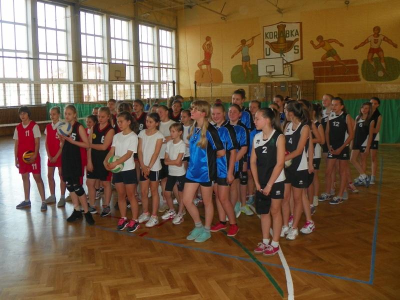 Siatkarki z Domaniewic najlepsze w powiecie