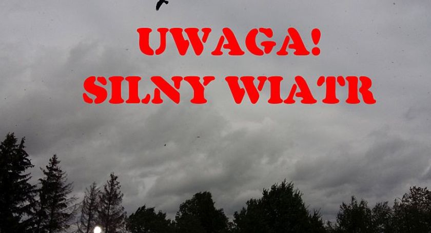 UWAGA - znów silny wiatr w łódzkim. Kolejne ostrzeżenia IMGW 