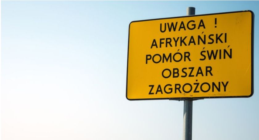ASF w województwie łódzkim