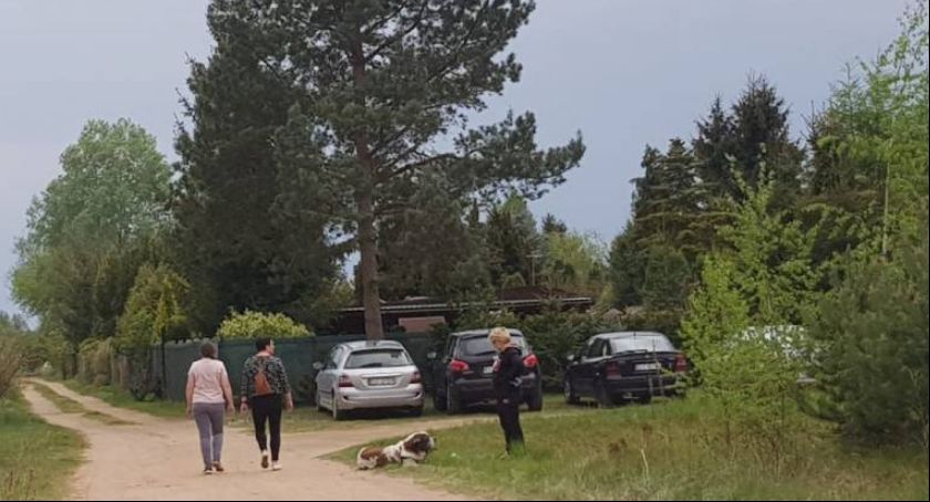 Spacer po lesie, działka czy wycieczki rowerowe? Jak spędziliśmy weekend