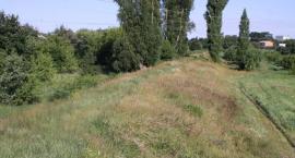 Ścieżka pieszo-rowerowa na wale. Władze Łowicza szukają projektanta