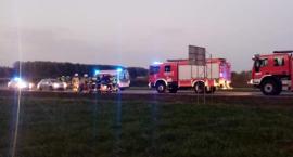 Groźnie na drodze pod Nieborowem. 33-letnia kierująca trafiła do szpitala po zderzeniu z łosiem