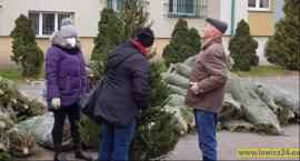 Trwa akcja Eko-choinka pod łowickim Starostwem (FOTO i VIDEO)