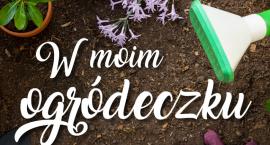 Opisz swój wymarzony ogródek w konkursie Łączy nas Łowicz!