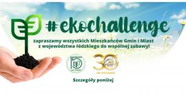 Pomóżmy zazielenić Nowy Rynek w Łowiczu! - konkurs #ekochallenge