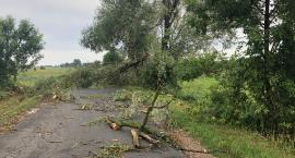 Po burzy strażacy interweniowali w powiecie łowickim już ponad 240 razy! (Foto, Wideo)