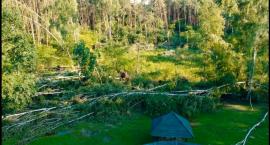 Lasek Miejski w Łowiczu po nawałnicy. Zobacz film z lotu ptaka (VIDEO)