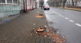 Łowicz. Dlaczego wycięto drzewka w al. Sienkiewicza i dąb przed ratuszem? (foto)