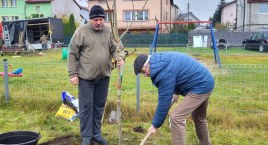 Przybyło zieleni przy kolejnym placu zabaw (foto)