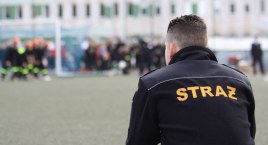 Okolice Łowicza. Ktoś specjalnie podcina drzewa przy drogach?