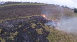 Pożary traw w Otolicach i Wygodzie