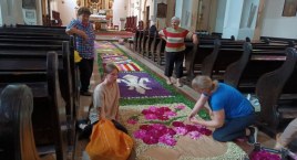 Domaniewice. Kwietny dywan zachwyca każdego roku (foto)
