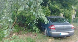 Był tak pijany, że swoją podróż zakończył w przydrożnych krzakach!
