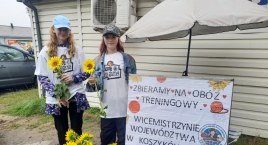 Łowicz. Koszykarki Księżaka sprzedają słoneczniki. Zbierają pieniądze na obóz