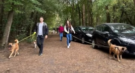 Wyprowadź psiaka ze schroniska na spacer, jak zrobiła to ekipa z Łączy nas Łowicz (foto)