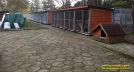 Podaj Łapę. Ruszyła dziewiąta zbiórka dla schroniska w Łowiczu