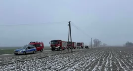 Strażacy zadysponowani do łapania byków