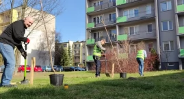 Łowicka Spółdzielnia włączyła się w akcję „888 drzew na urodziny Łowicza” (foto)