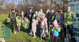 888 drzew dla Łowicza. Panie i ich pomocnicy sadzili drzewa przy ul. Motylińskiego