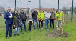 888 drzew dla Łowicza. Kolejne nasadzenia na osiedlu Konopnickiej (foto, film)