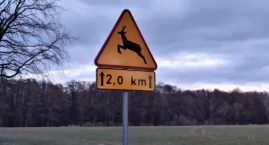 Zderzenie z sarną na DK70