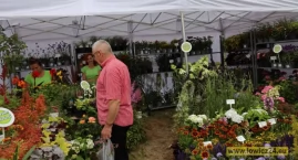 Nieborów ponownie zatopi się cały w kwiatach