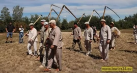 Tradycyjne łowickie żniwa w skansenie w Maurzycach (foto, film)
