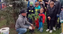 Duże pieniądze pozyskane na nowe nasadzenia