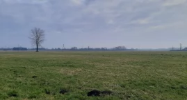 Na Przedmieściu stanie maszt sieci Play? Mieszkańcy są przeciwni, wkrótce zapadnie decyzja