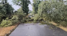 Połamane drzewa, zerwane linie energetyczne! Burza n…