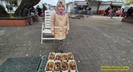 Jesień w Łowiczu bez grzybów? Na targowisku tylko ki…