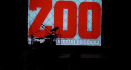 Urodzinowy koncert Katarzyny Groniec