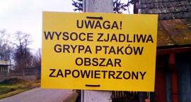 Ptasia Grypa w Skaratkach w gminie Domaniewice!!