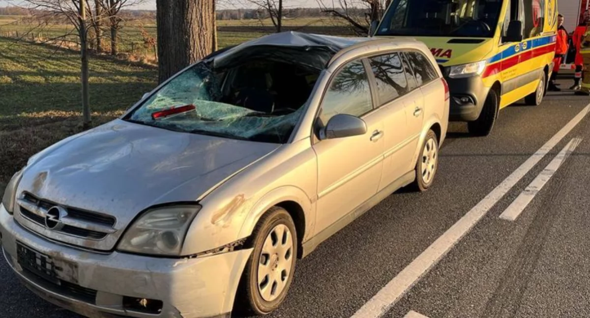 4 osoby ranne po zderzeniu z łosiem na drodze w gminie Godkowo