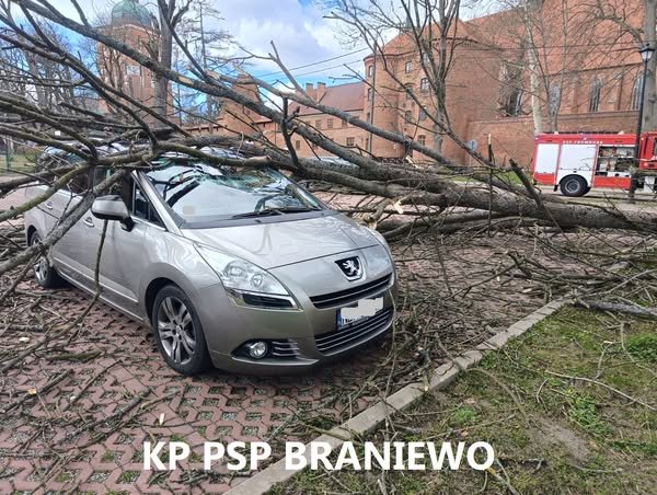 160 interwencji i cofka. Strażacy podsumowują sobotę