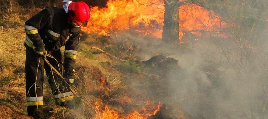 Wypalanie traw przynosi więcej szkód niż pożytku. Negatywne skutki wypalania łąk i pastwisk