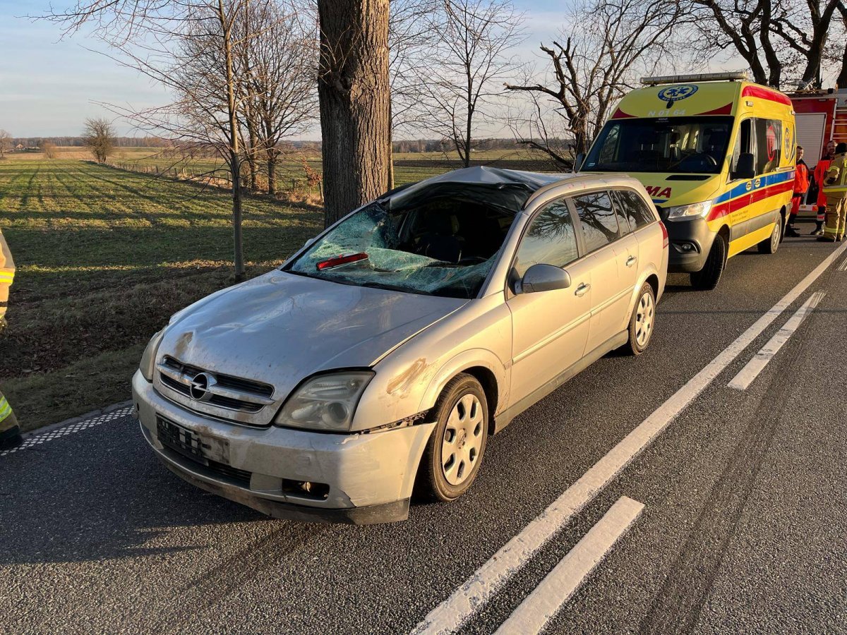 4 osoby ranne po zderzeniu z łosiem na drodze w gminie Godkowo
