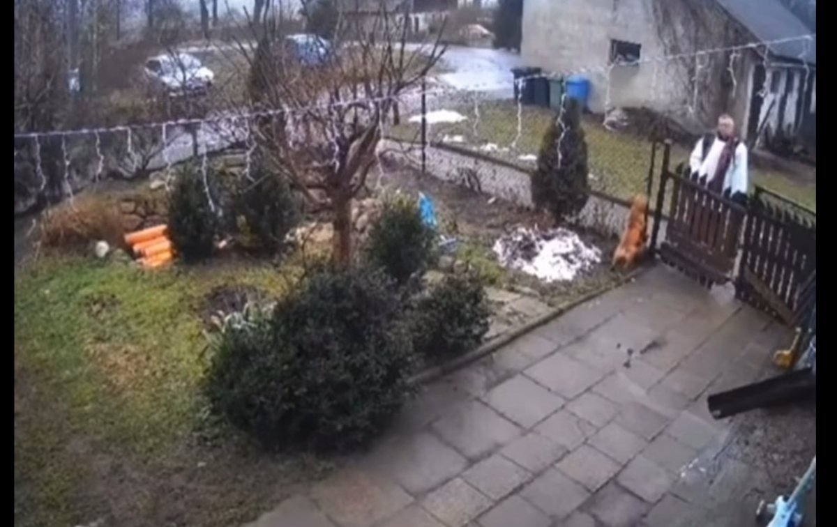 Ksiądz podczas kolędy atakuje psa. Bulwersujące nagranie z Wysokiej Braniewskiej [VIDEO]