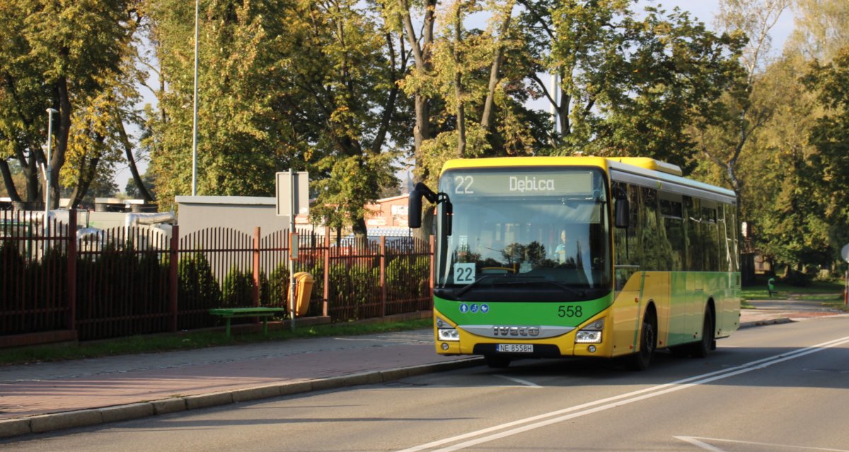 ZKM Elbląg: Komunikacja i organizacja ruchu w okresie Wszystkich Świętych [MAPA]