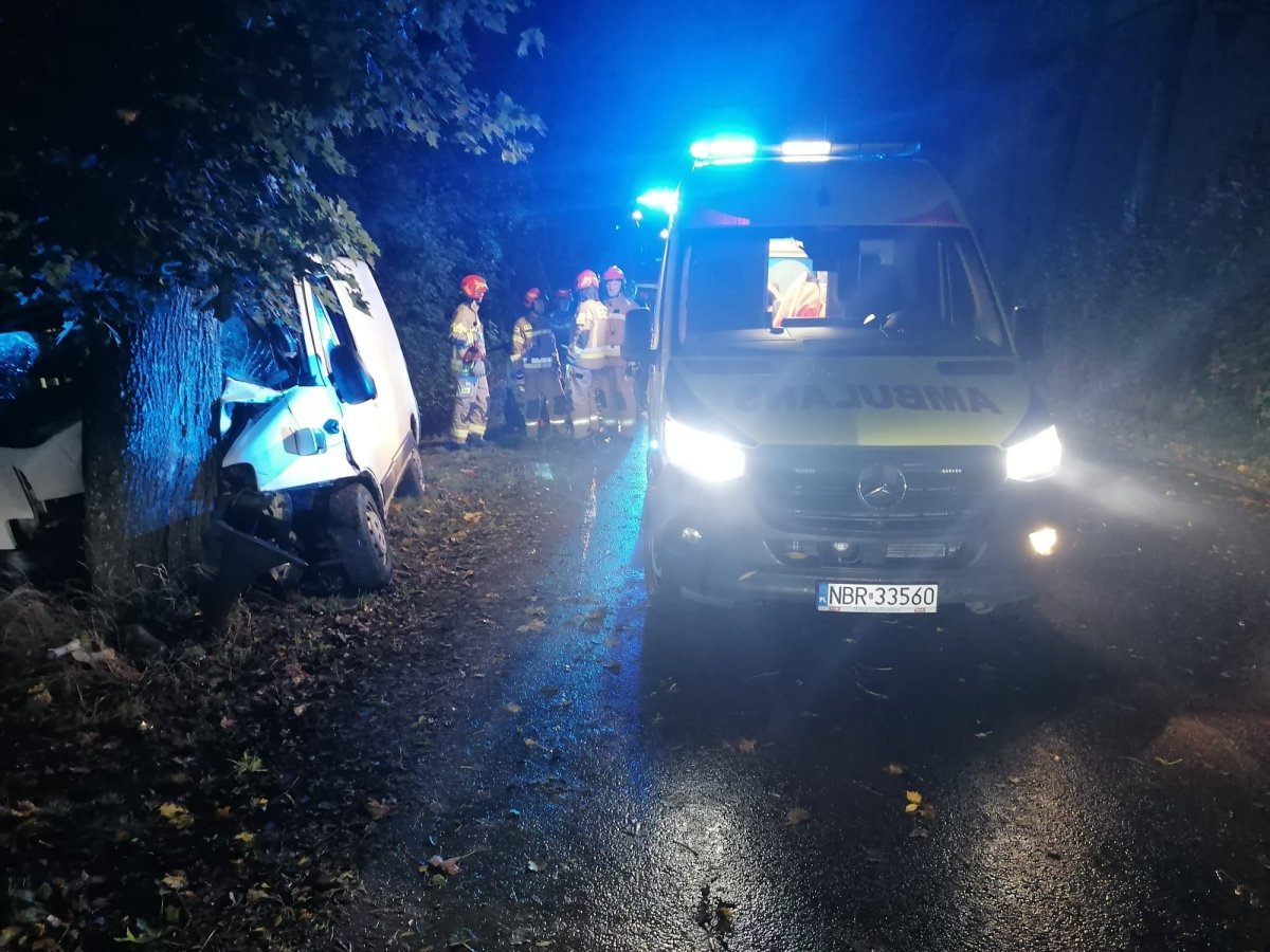 Wielewo (gm. Braniewo): Dostawczakiem wbił się w drzewo