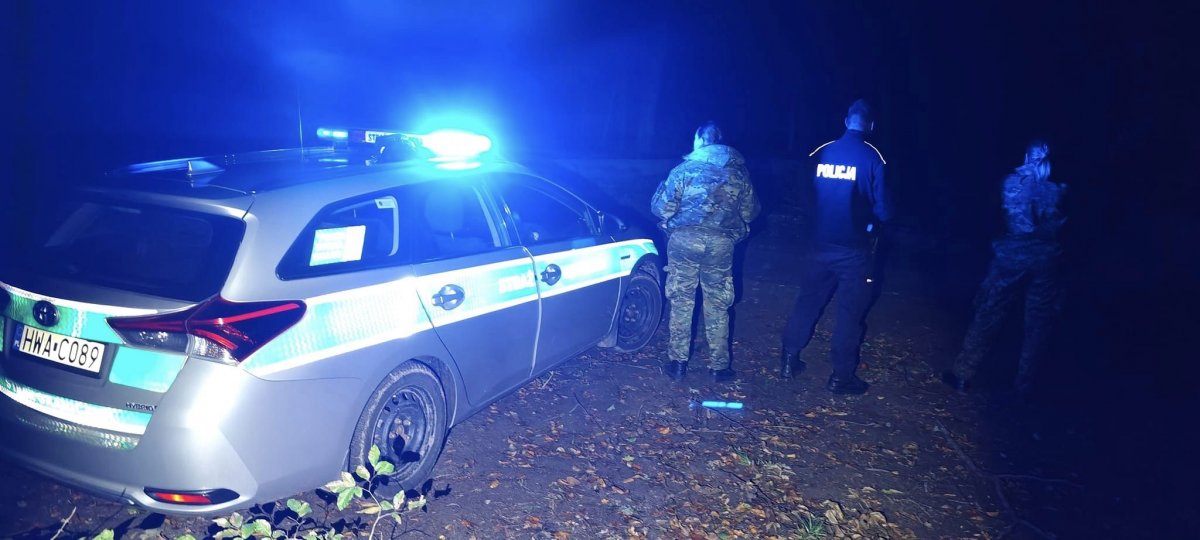 Poszła do lasu na grzyby i zabłądziła. Trwają poszukiwania 76-letniej kobiety
