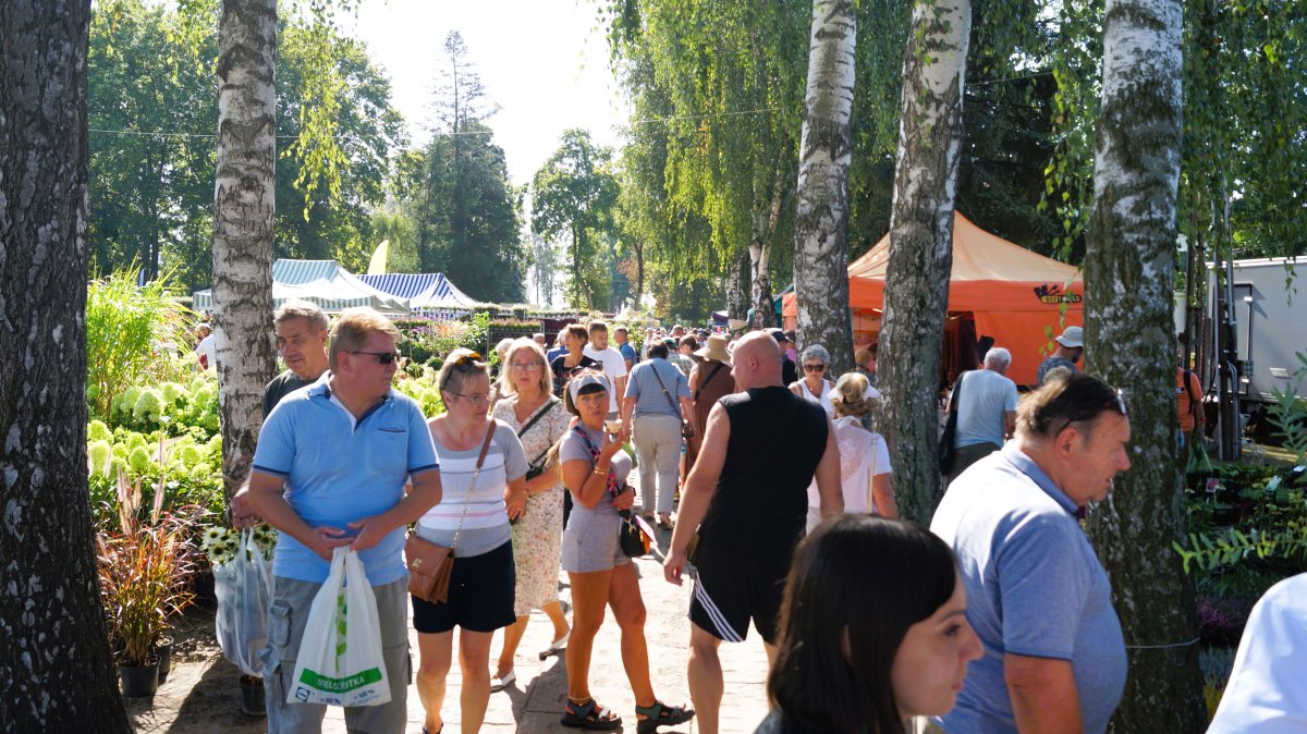 29. Jesienne Targi Ogrodnicze w Starym Polu w liczbach [ZDJĘCIA]