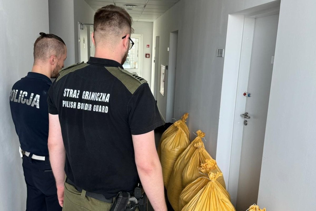 W garażu pod Elblągiem znaleziono 900 kg sprasowanych liści tytoniu 