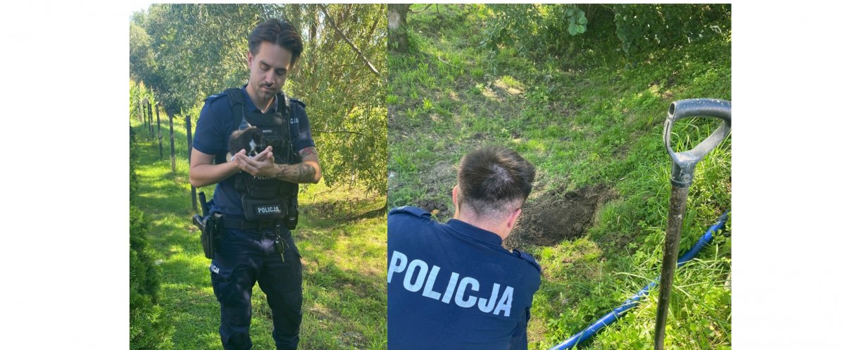 Miała zakopać żywcem kota w ogrodzie, grozi jej 5 lat więzienia
