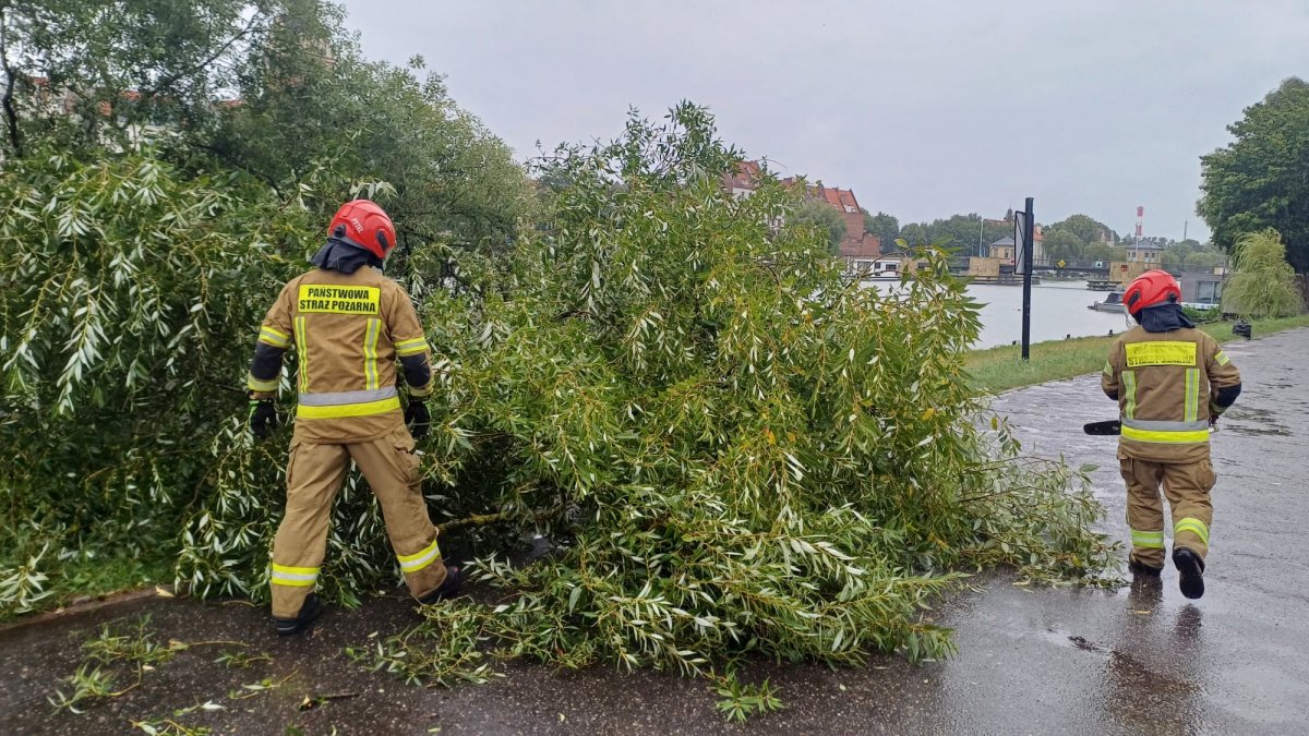 Pracowity tydzień elbląskich strażaków. Interweniowali 58 razy [ZDJĘCIA]
